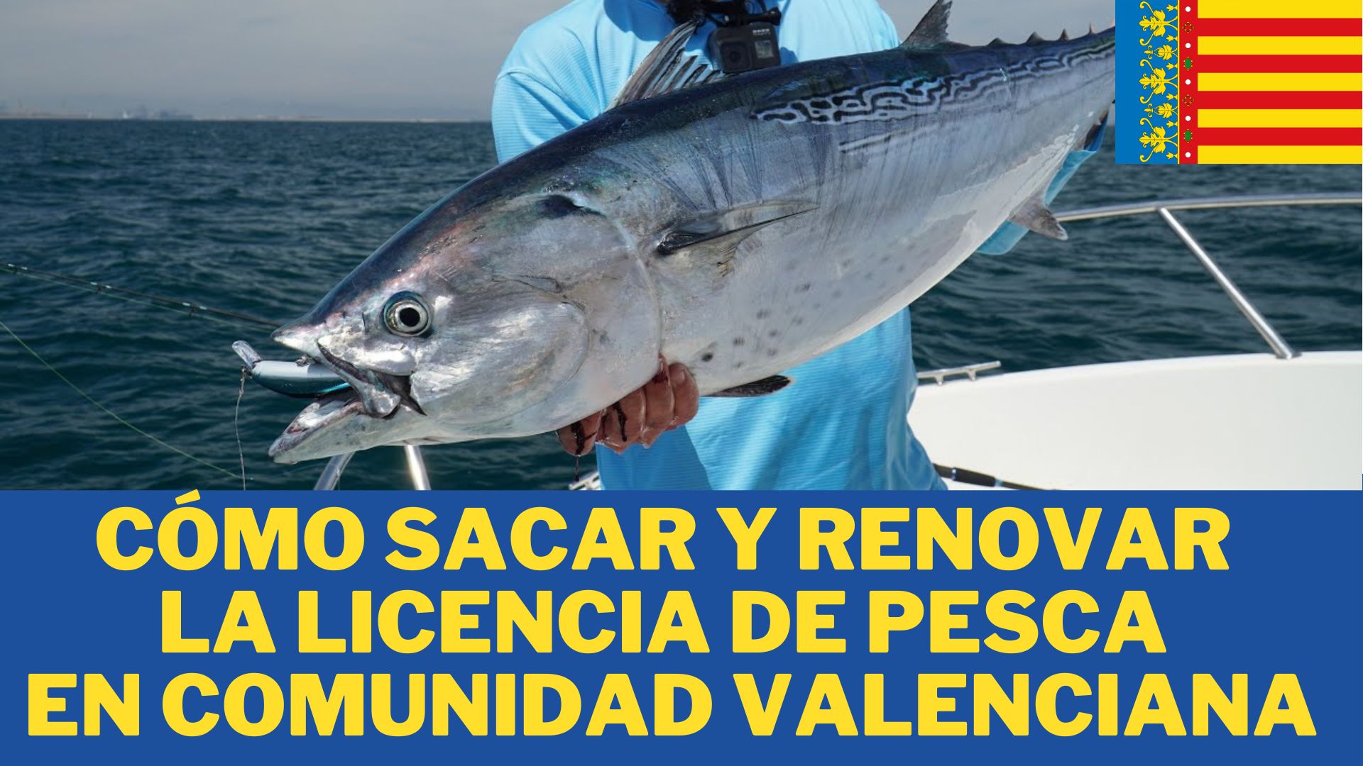 Cómo Sacar y Renovar la Licencia de Pesca en Comunidad Valenciana