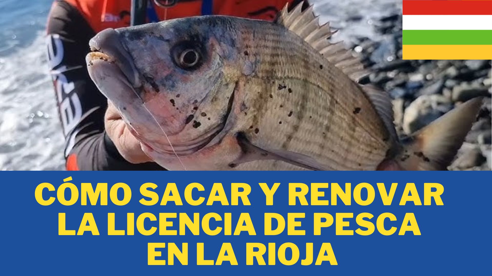 Cómo Sacar y Renovar la Licencia de Pesca en LA RIOJA