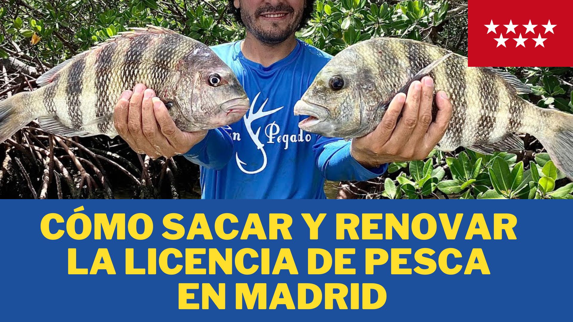 Cómo Sacar y Renovar la Licencia de Pesca en Madrid