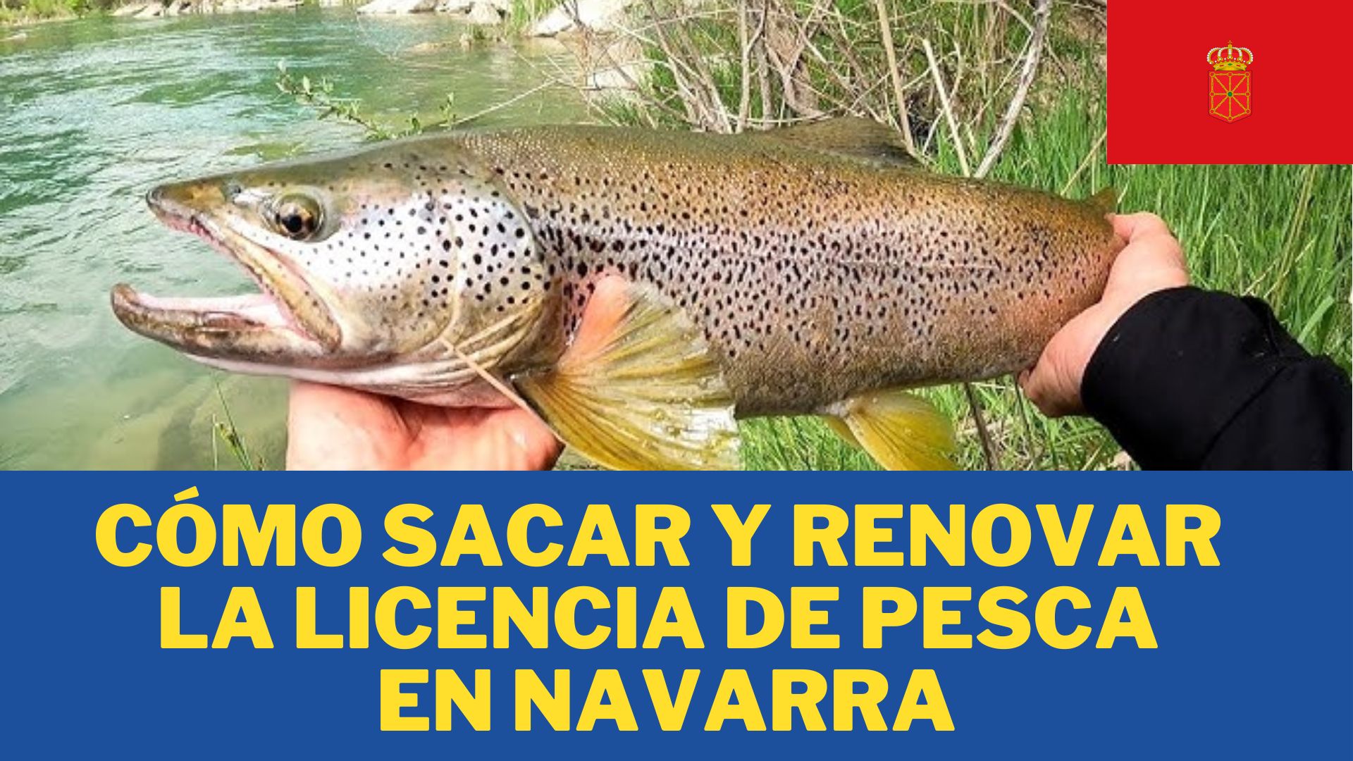 Cómo Sacar y Renovar la Licencia de Pesca en Navarra