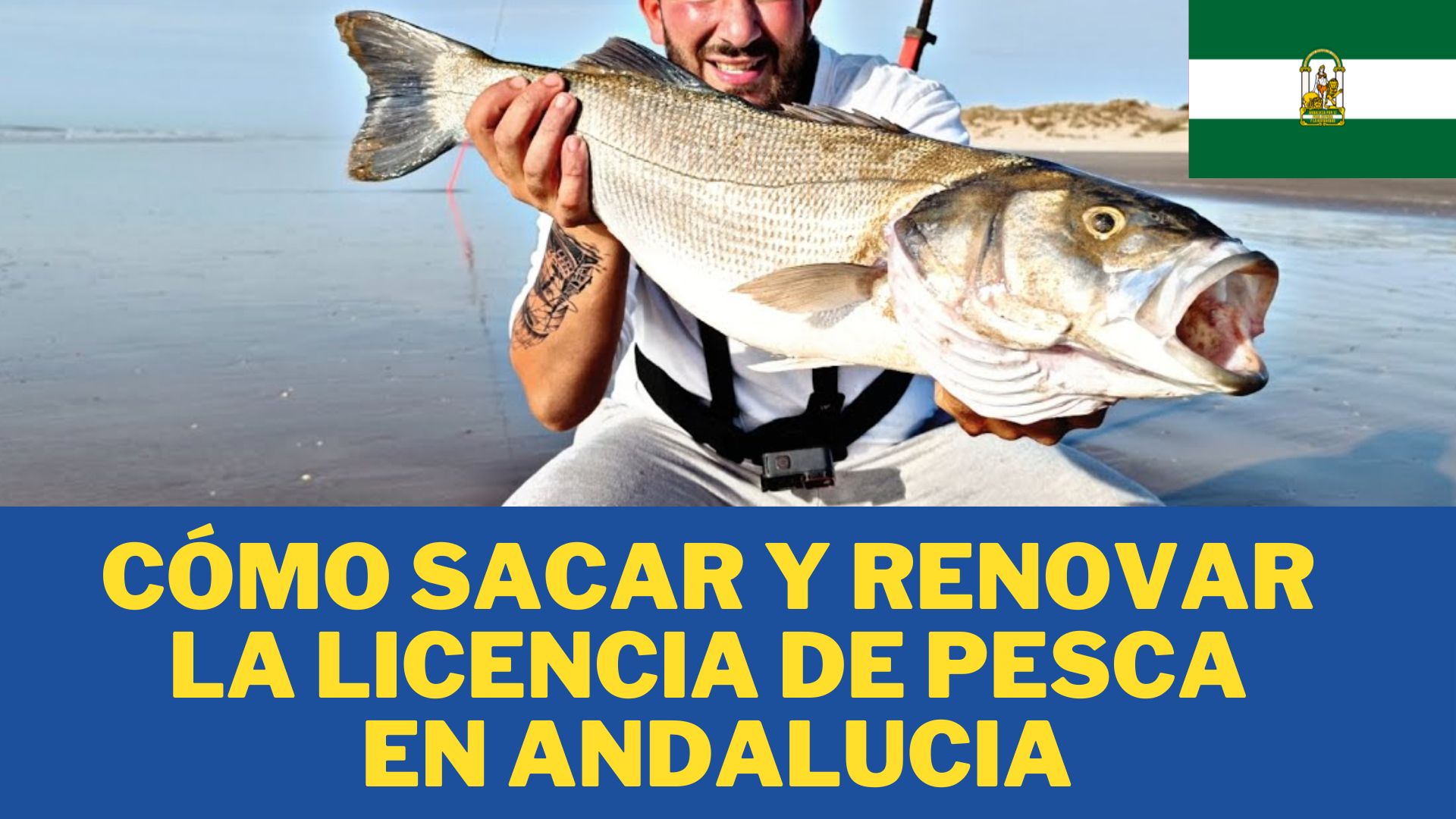 Cómo Sacar y Renovar la Licencia de Pesca en ANDALUCIA