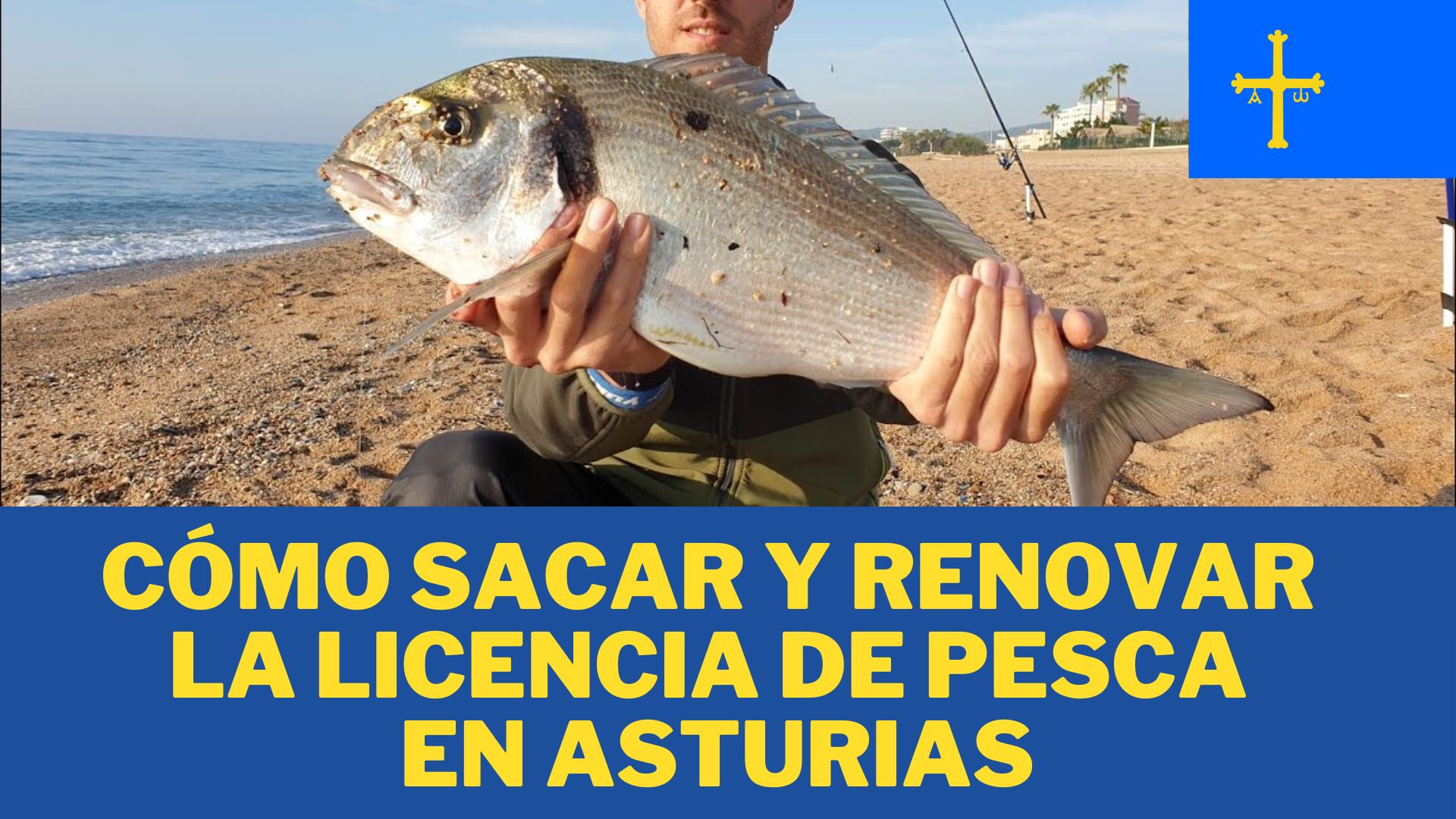 Cómo Sacar y Renovar la Licencia de Pesca en ASTURIAS