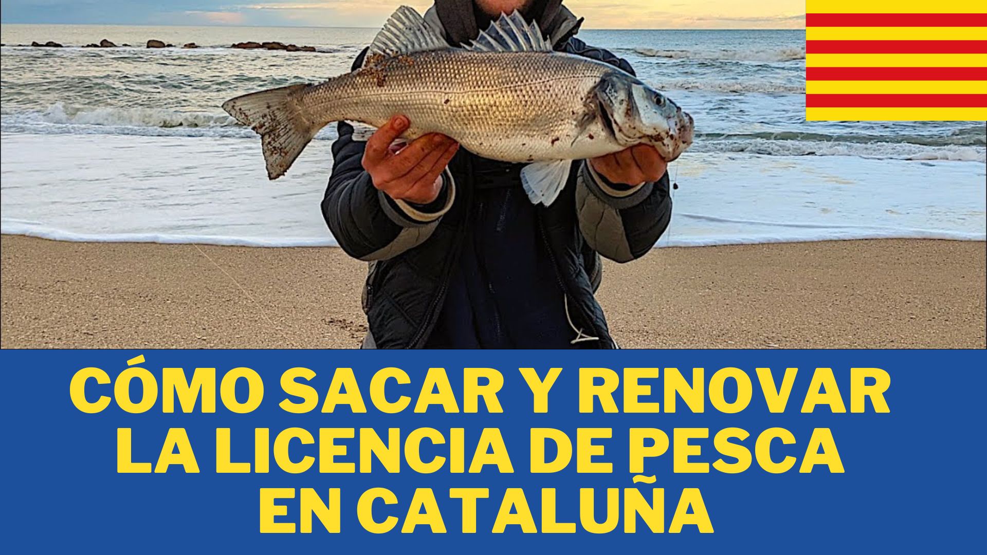 Cómo Sacar y Renovar la Licencia de Pesca en cataluña